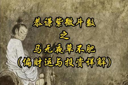 紫薇斗数偏财运好