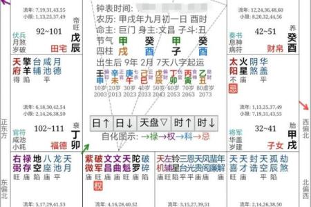 紫薇星化忌怎么看