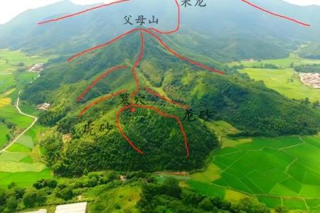 最发人丁的坟地风水