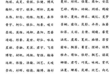 凌晨5点出生的属鼠男孩宜用什么字来取名字姓名