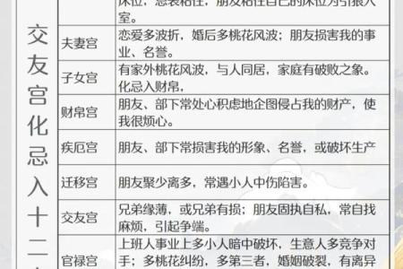 娶双妻紫薇斗数