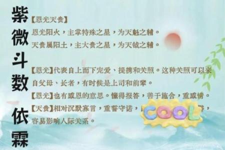 紫薇斗数中天才