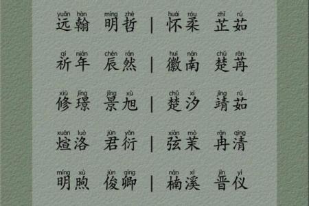 虎年女孩名字顺口好听的 新生儿起名字女孩生辰八字起名免费