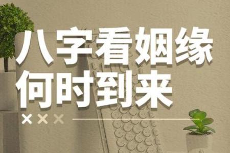 最准的免费算命姻缘,查姻缘