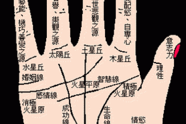 肩膀算命大全