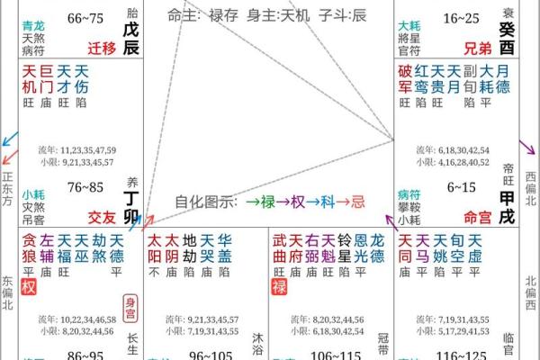 紫薇斗数反格