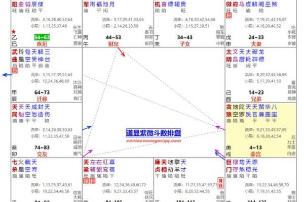 紫薇斗数反格