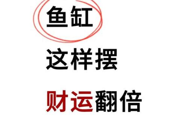 鱼缸的风水_送人鱼缸有什么说法
