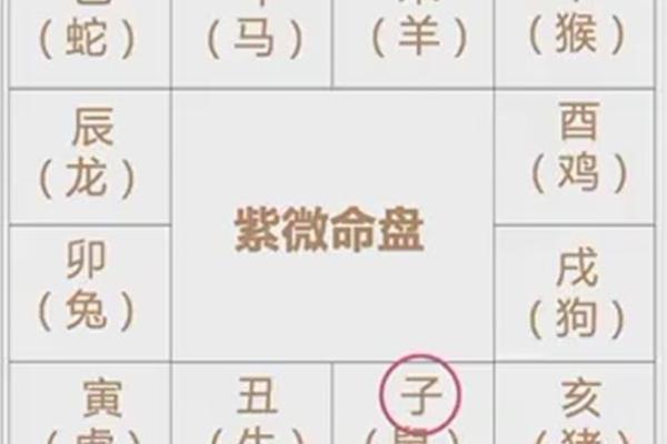 紫薇斗数旺陷平