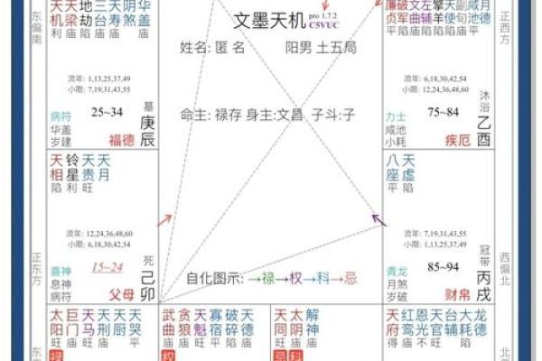 紫薇斗数命盘怎么看