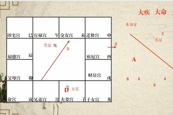 紫薇斗数怎么看未来妻子