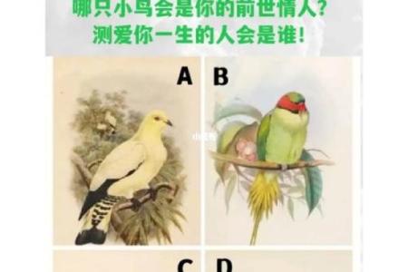 测一测你是哪种婊,测试你长得漂不漂亮