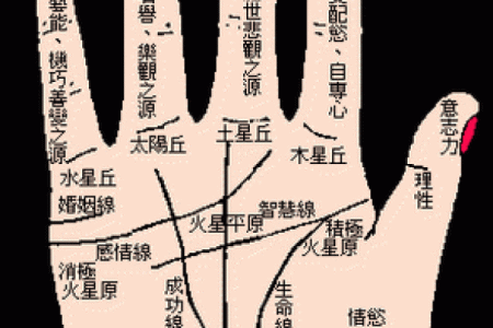 肩膀算命大全