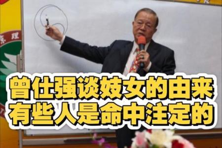 曾仕强谈紫薇斗数