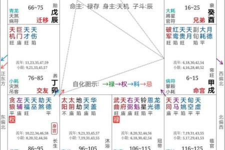 紫薇斗数反格
