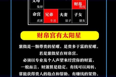 紫微斗数之各星曜所主行业：看借钱、贷款