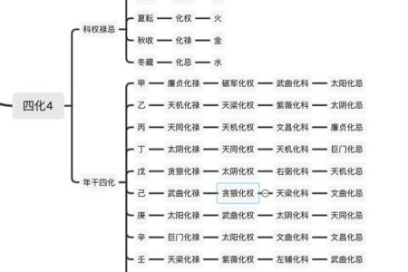 紫薇斗数化忌是怎么来的