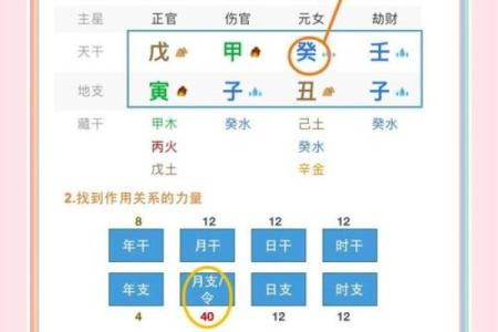 八字弱极