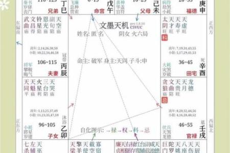 紫薇斗数看性需求