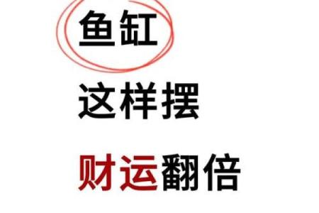 鱼缸的风水_送人鱼缸有什么说法
