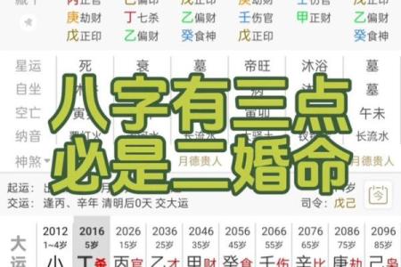 八字奇缘