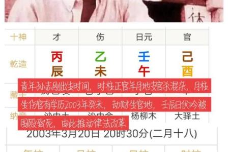 八字看帅