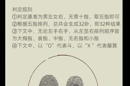 看手相算命图解：指纹
