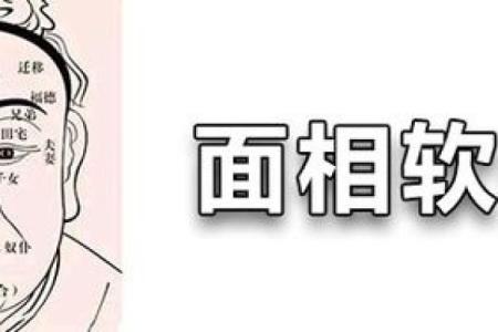 董易奇八字
