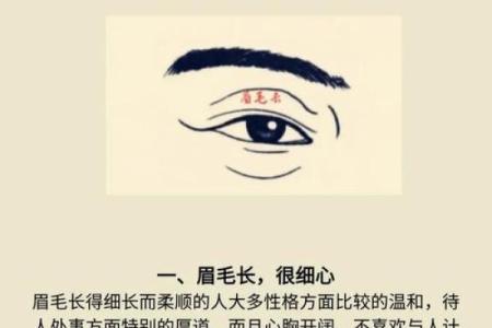 面相图解-弓丧眉算命及性格特征