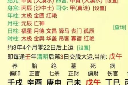 八字乙未日