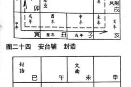 中州紫薇斗数实例