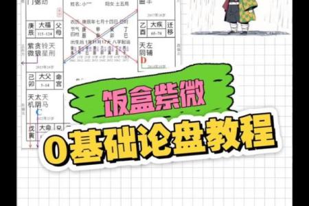 南北派紫薇斗数