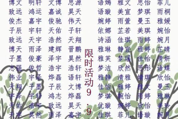 晚上十二点出生的属羊男孩如何起名，宜用什么字姓名