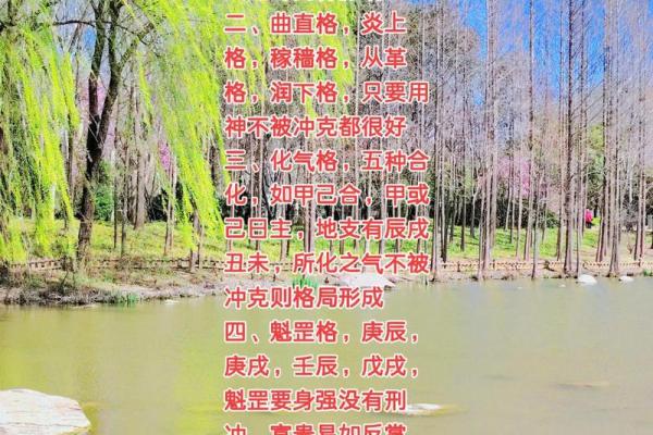 不求最贵只求最好，八字什么格局最好
