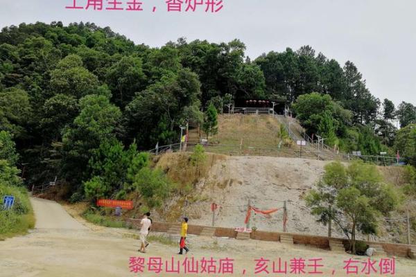 海南房子风水禁忌图案