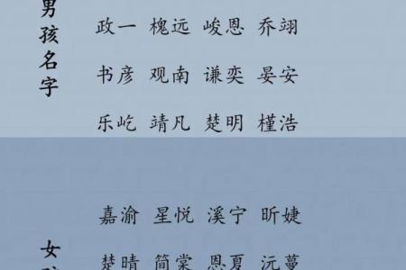2019年3月27号酉时出生的男孩应该起什么样的名字姓名