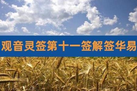 衢州东岳灵签11签