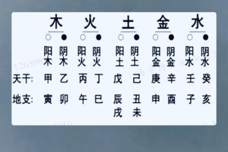算命里缺什么五行属性