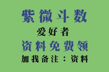 最准紫薇斗数app