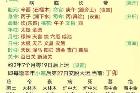 查自己的八字