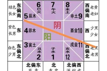 好的家庭风水离不开合理的布局 想要财旺家旺的就赶紧行动起来