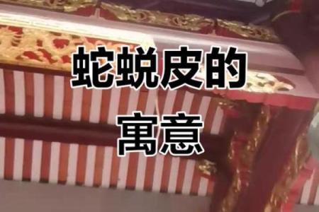 房子上能画条蛇吗风水