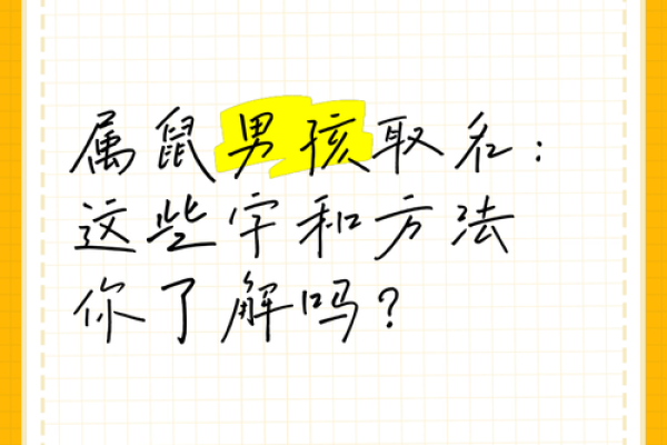 凌晨3点出生的属鼠男孩起什么名字合适姓名