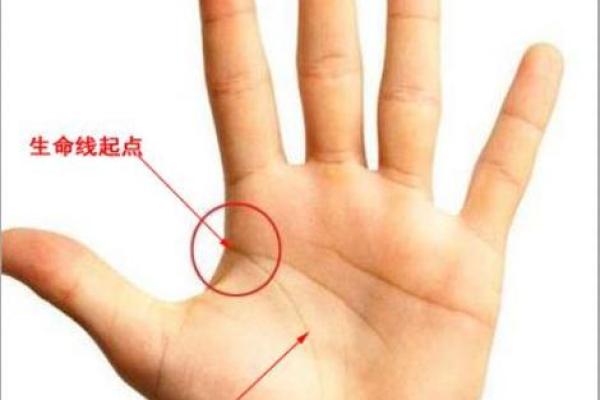手纹线图解大全男人手相 男人算命看左手还是右手