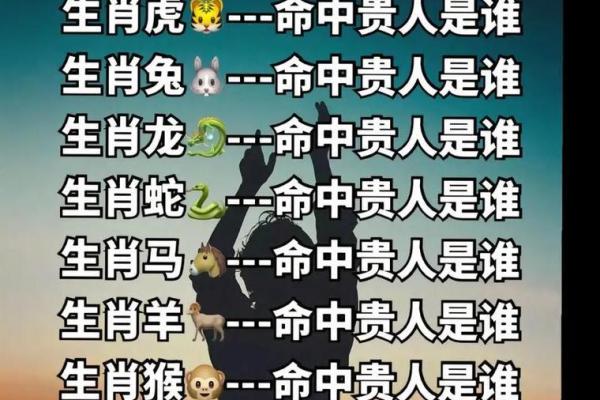 风水12生肖寿命最长的是什么动物是它吗