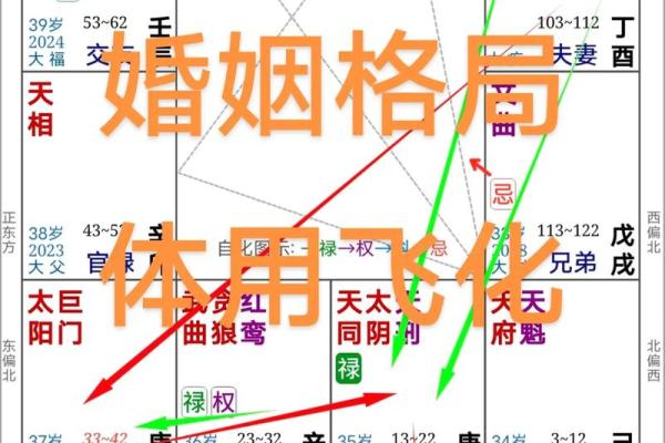 夫之迁紫薇斗数