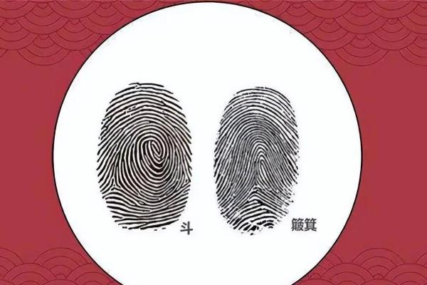 详细分析：手掌中的指纹预测算命，快来算算你的运势如何！
