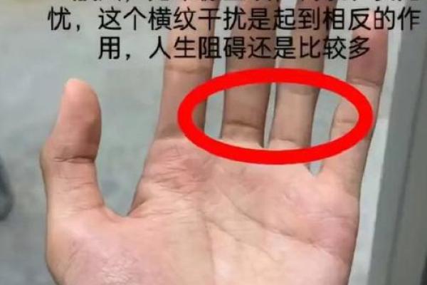 手型算命：木型人的性格与命运