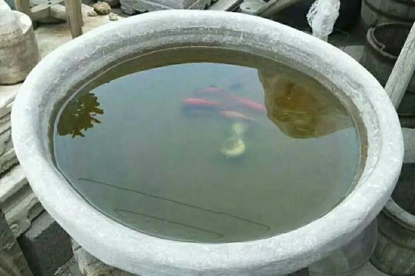 石缸养鱼与风水