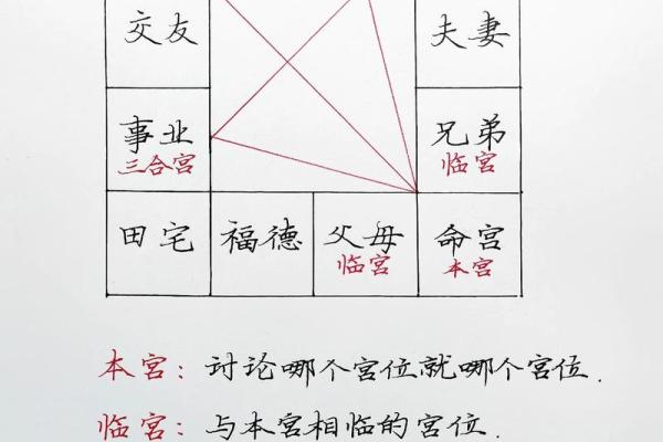 紫微斗数任务在哪接 紫微斗数引导任务？